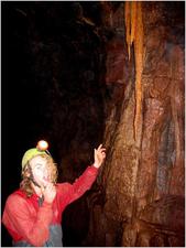 Thumbnail of photo from this article